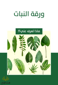 ورقة النبات