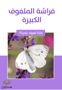 فراشة الملفوف الكبيرة